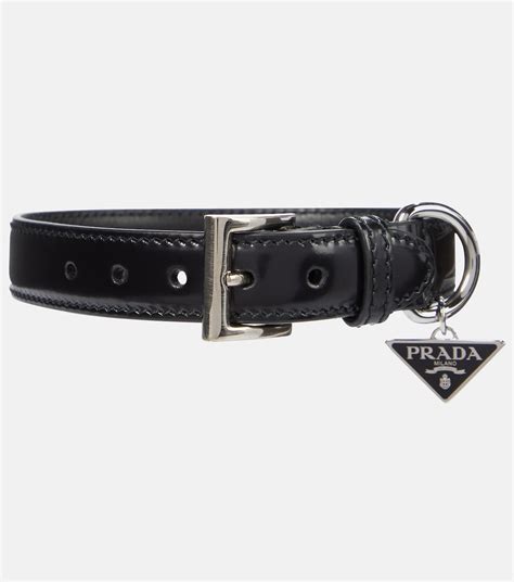 prada dog collar buy|best designer dog collar.